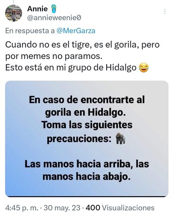 Meme gorila (captura de pantalla)