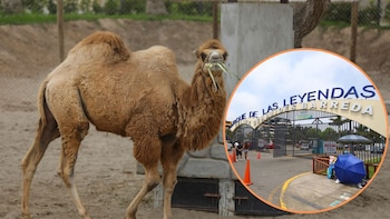 El Parque de las Leyendas