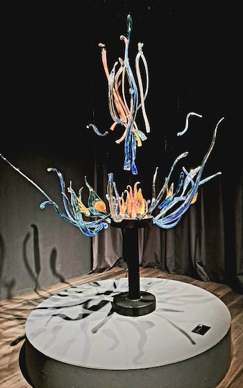 Javiera Yáñez Correas y su