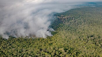 Los incendios en la Amazonía