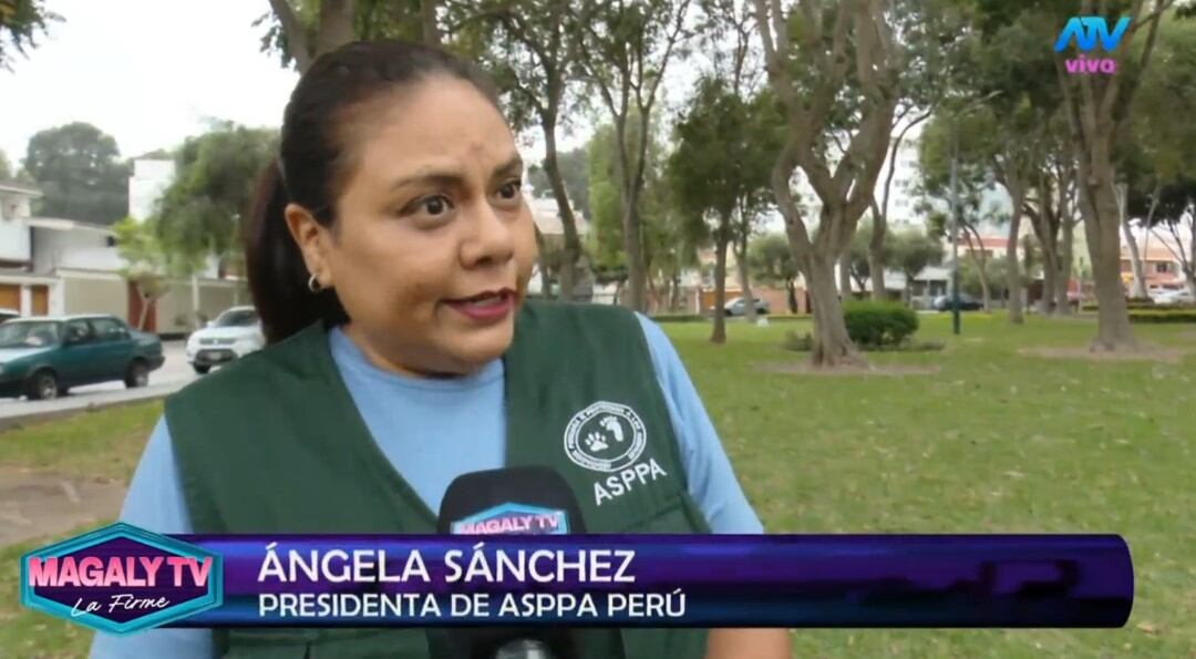 Magaly Medina cuestiona destino de perros rescatados en SJM: “¿Cómo estar seguros que no han caído nuevamente en manos inescrupulosas? Captura: Magaly TV La Firme.