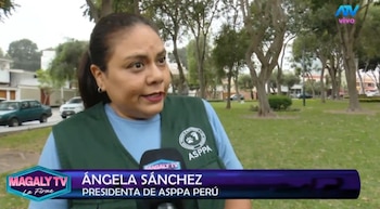 Magaly Medina cuestiona destino de perros rescatados en SJM: “¿Cómo estar seguros que no han caído nuevamente en manos inescrupulosas? Captura: Magaly TV La Firme.