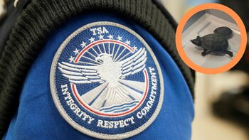 La TSA mantiene controles estrictos