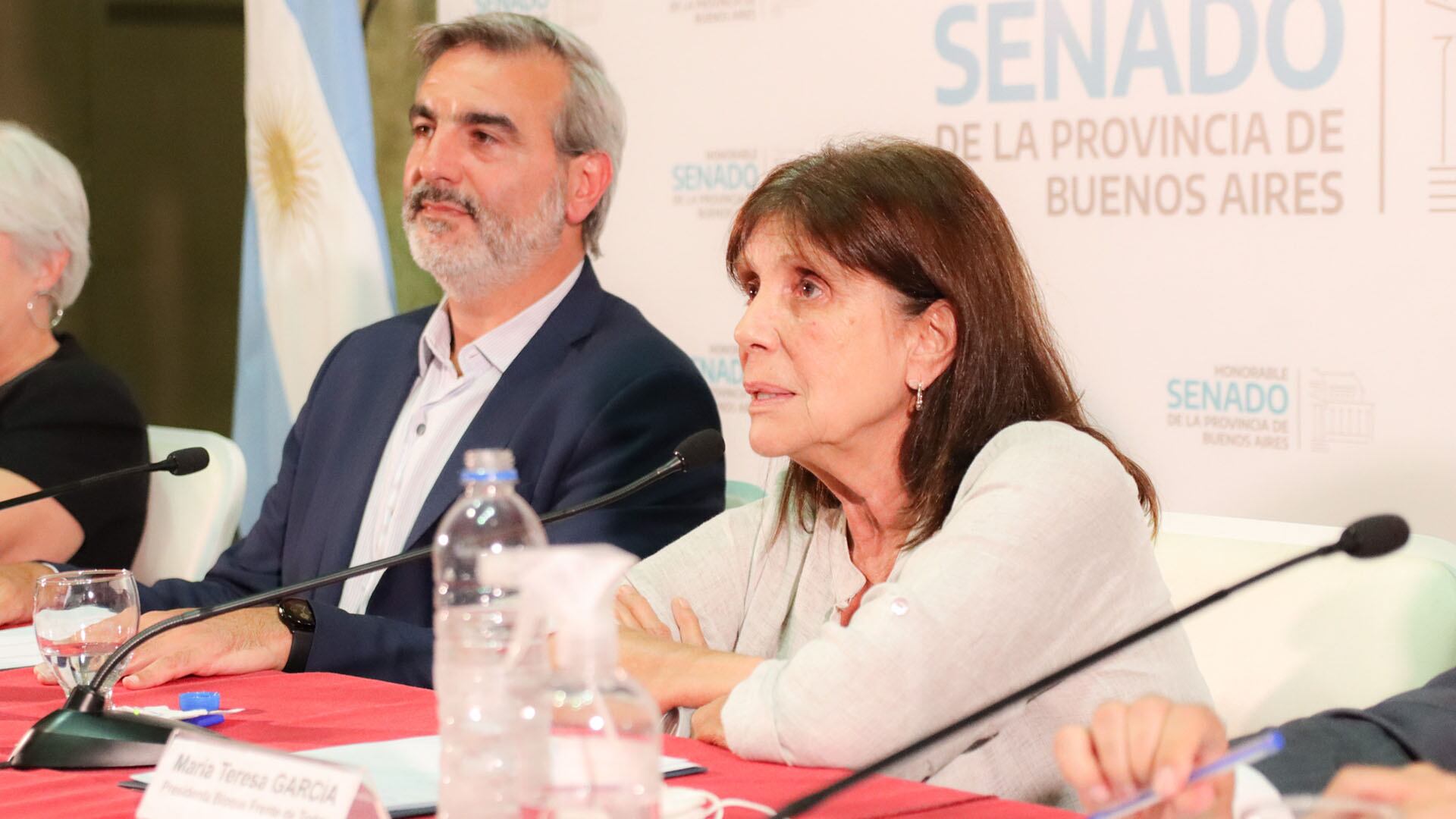 La presidenta del bloque de UP en el Senado bonaerense, Teresa García