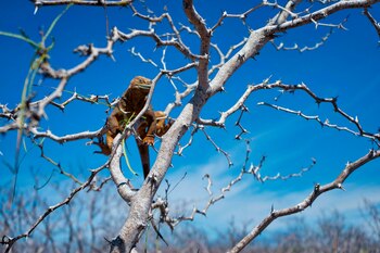 Fotograf�a cedida por el Parque