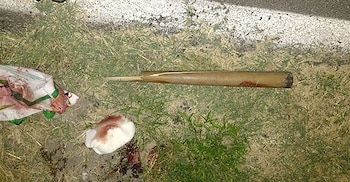 El bate utilizado en el