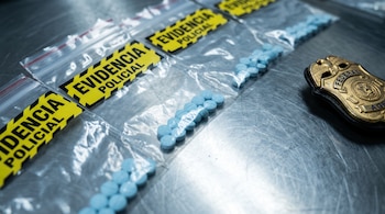 Bolsas transparentes con etiquetas de evidencia policial contienen pastillas azules sobre una mesa metálica junto a una placa dorada.