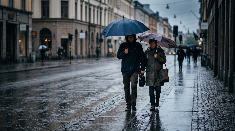 Alerta meteorológica para 17 provincias: prevén tormentas, vientos, nevadas y fuertes lluvias Alerta meteorológica para 17 provincias: prevén tormentas, vientos, nevadas y fuertes lluvias