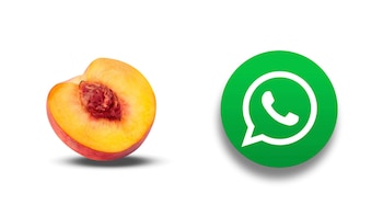 Todas estas funciones están presentes