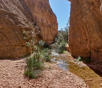 Río Chícamo, en Murcia (Flickr.com).