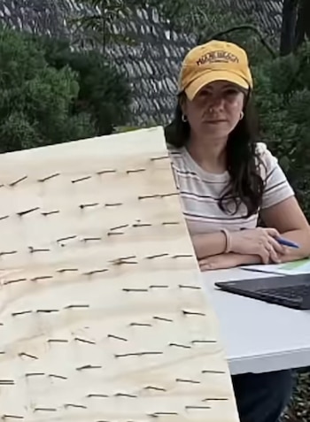 Organizaciones defensoras de animales denunciaron el reparto de 40 tablas con clavos en San Pedro Garza García y advirtieron riesgo de hemorragias e infecciones para los ejemplares. (Tomadas de Selva Teenek Ecopark)
