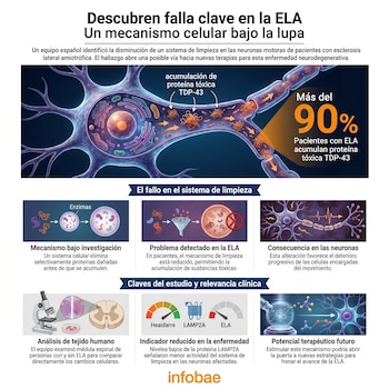 Infografía detallada sobre la ELA, mostrando una neurona con acumulación de proteína tóxica TDP-43 y un diagrama del fallo en el sistema de limpieza celular.