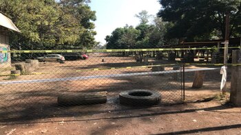 Suman 20 casos de perros