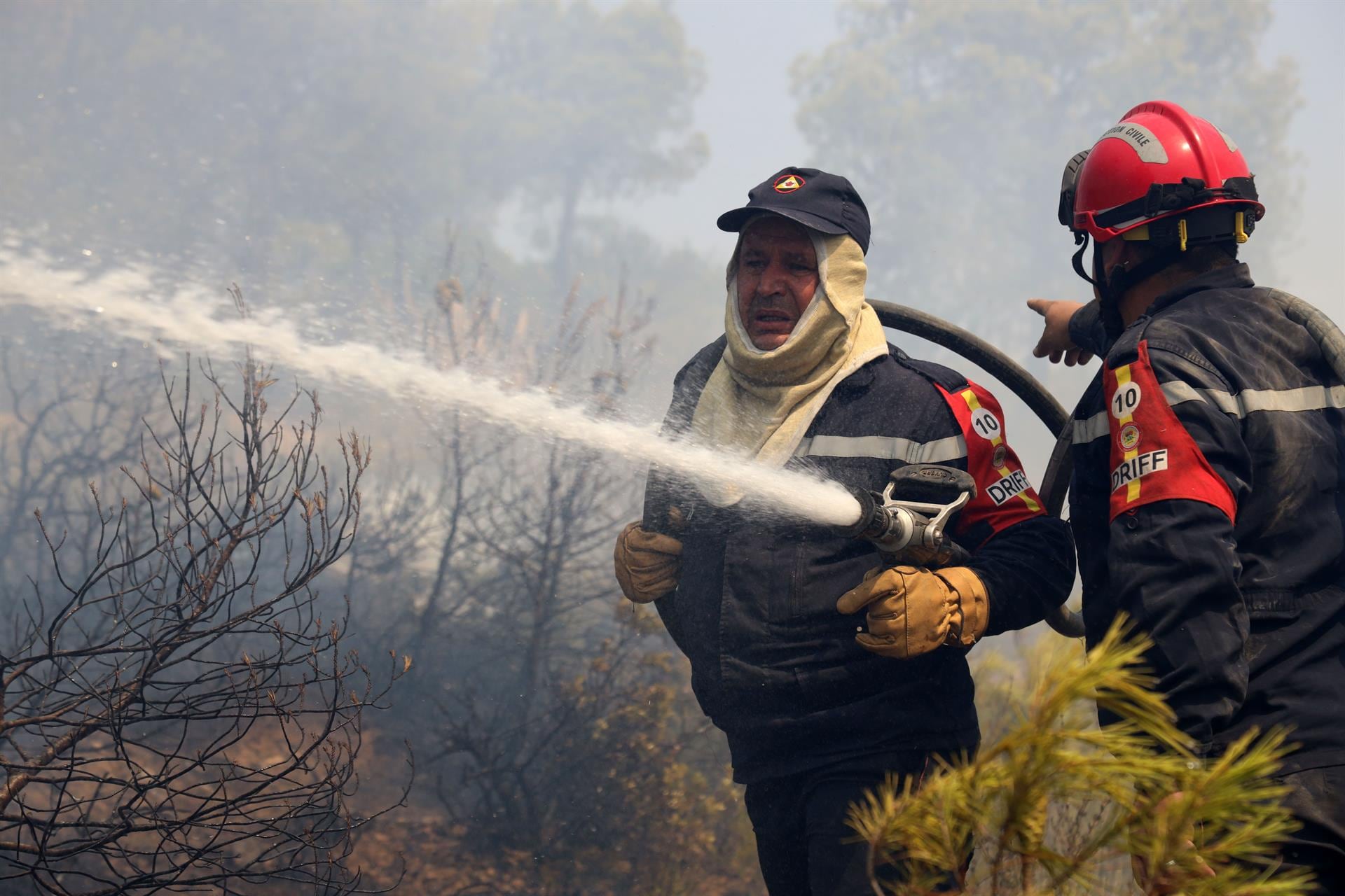 Mueren seis personas a causa de los incendios forestales en el norte de Argelia