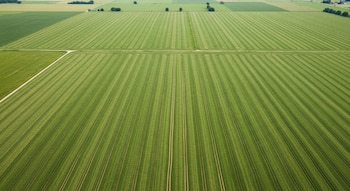 Investigadores identifican que la biodiversidad