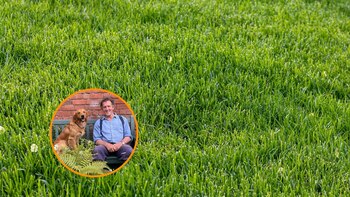 El experto en jardinería, Monty