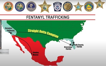 Parte del material compartido en