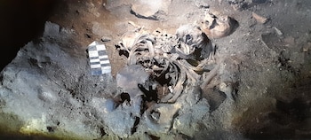 Se registró gran cantidad de