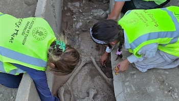 Hallaron una tumba de 2.400 años en Turquía y una pista abrió un misterio sobre un posible luchador