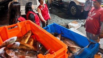 MIMP gestiona donación de más de tres toneladas de pescado para centros del Inabif. (Foto: MIMP)