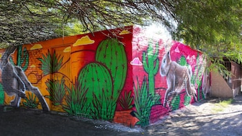 Sonora creará senderos seguros en