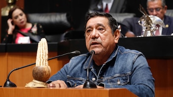 Félix Salgado niega candidatura del PT en Guerrero y asegura que no dejará Morena