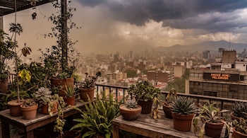 Terraza con macetas y plantas en primer plano, con un paisaje urbano brumoso y montañas al fondo. Un cartel digital muestra "INDICE AIRE: PELIGROSO".