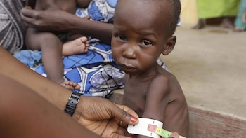 La herramienta se vale de