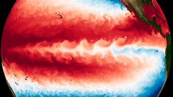 Científicos advirtieron que el calor