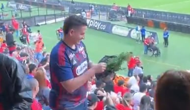 Hinchas del Medellín repartiendo ruda en el estadio Atanasio Girardot - crédito @jjgonzalea/ TikTok