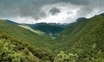 La decisión del tribunal amplía la tutela sobre áreas protegidas, permitiendo la defensa judicial aun sin pruebas de daño directo al reclamante