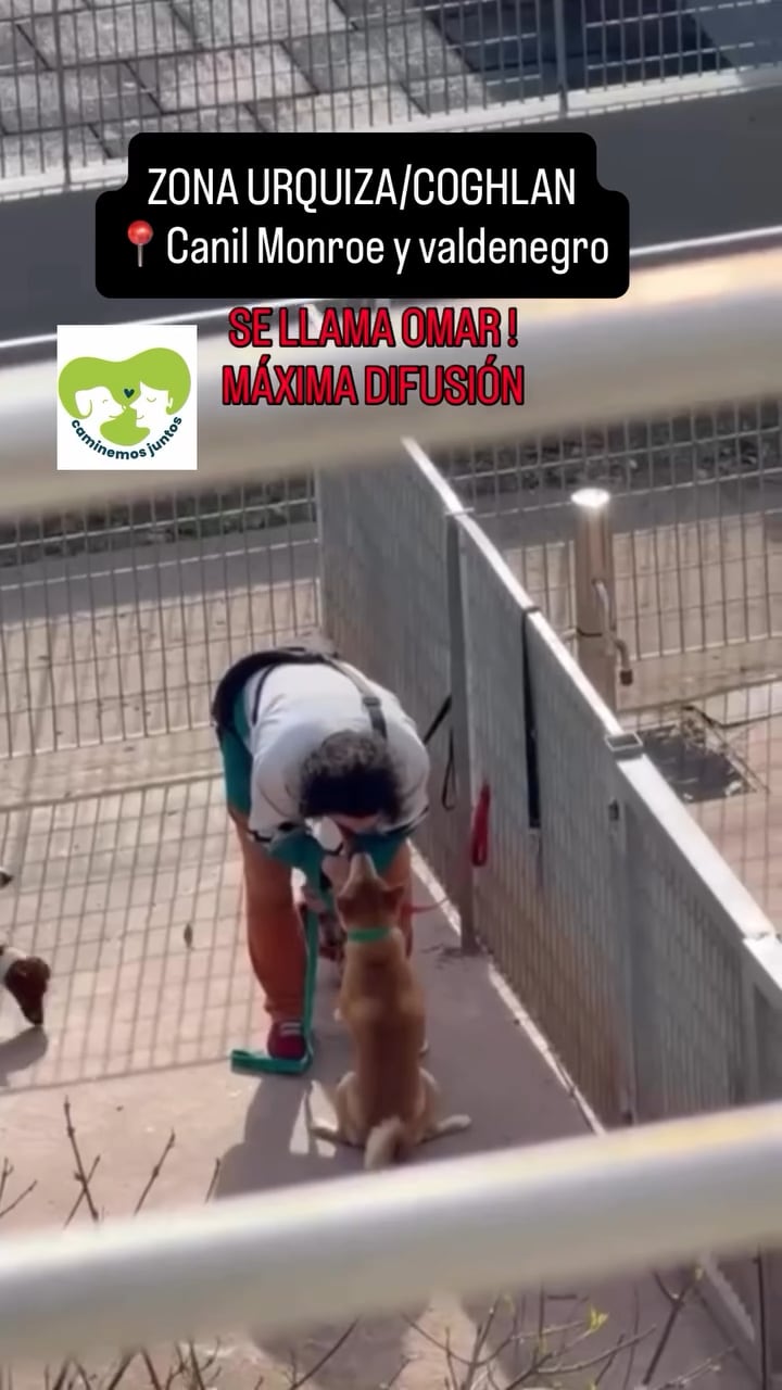 El maltratador en acción.