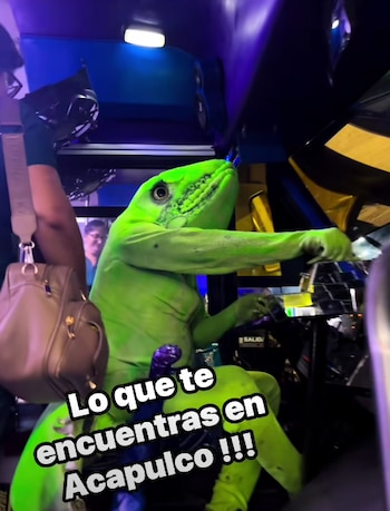 La creatividad del conductor desató miles de comentarios y convirtió un recorrido por el puerto en un fenómeno viral.