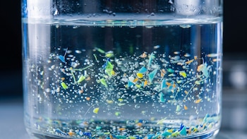 Un recipiente de vidrio transparente contiene agua con pequeñas partículas plásticas de varios colores y burbujas de aire