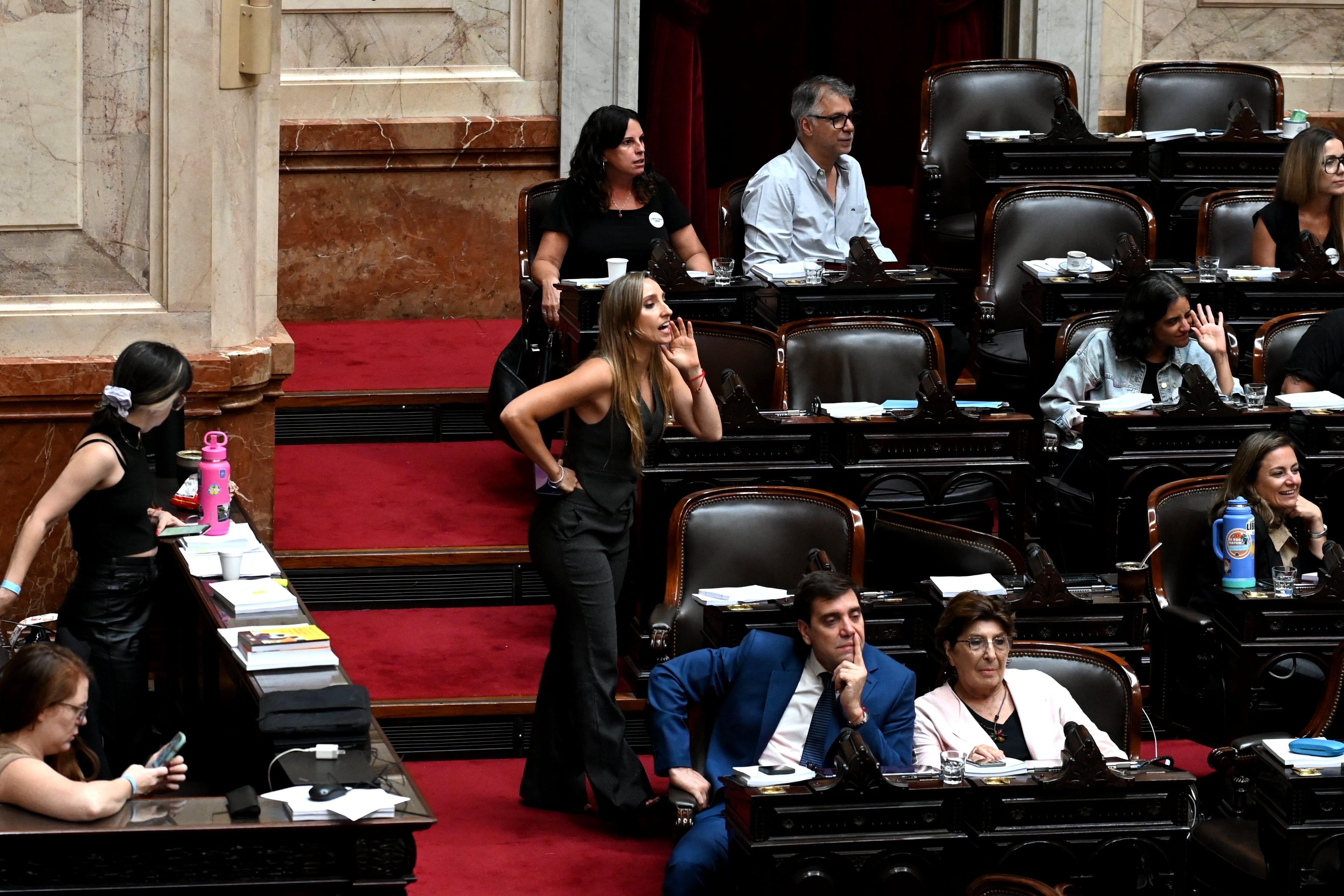 La legisladora Julia Strada es una de las peronistas más críticas de los gobernadores del norte que apoyaron a Milei (RS Fotos)