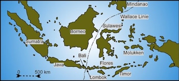 Nuevas investigaciones genéticas confirman la