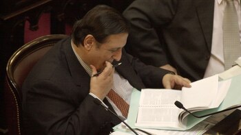 Raúl Baglini, en el Senado