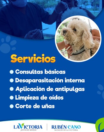 Esta iniciativa previene enfermedades zoonóticas,