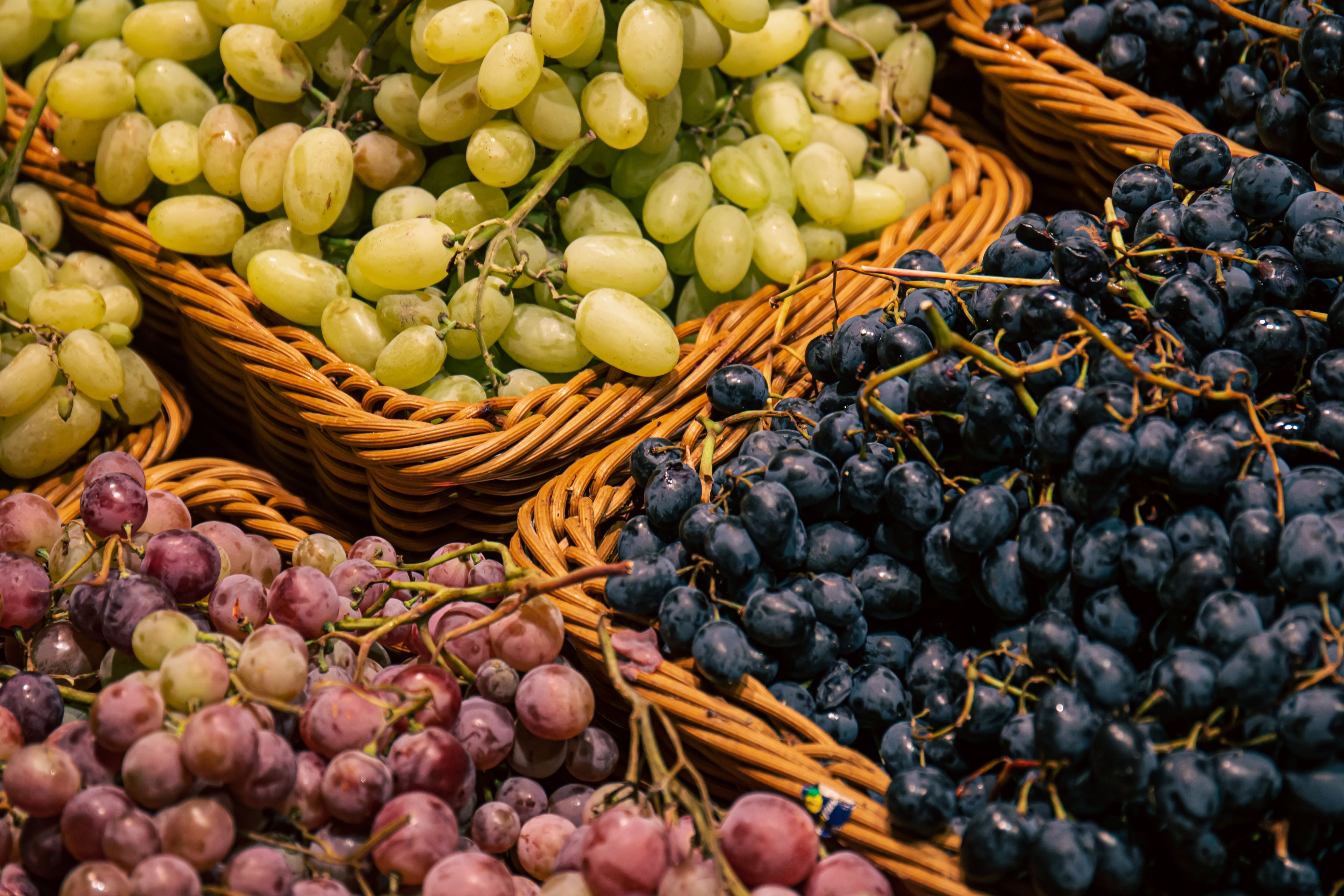 Cestas de uvas (Magnific)