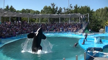 Kshamenk es parte de espectáculos