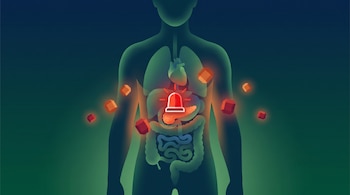 Silueta de un cuerpo humano con órganos internos, una luz de alarma roja sobre el páncreas y cubos anaranjados alrededor.
