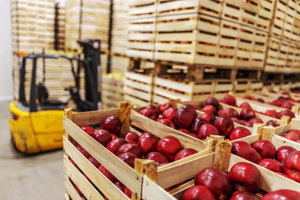 Las pymes concentran la mayoría