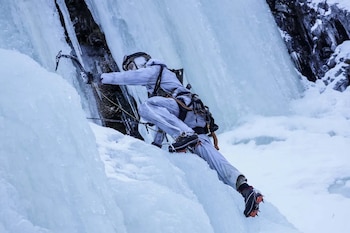 Ejército de Reino Unido en