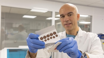 La sangre seca sirve para