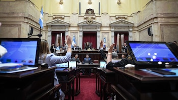 El Senado aprobó la amortización anticipada en Ganancias para inversiones desde los USD 12 millones