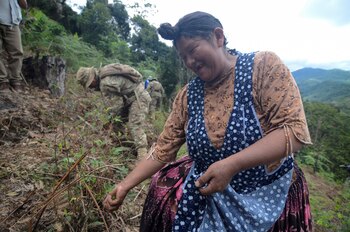 Una mujer recoje hojas de coca en Los Yungas, Bolivia (REUTERS/Claudia Morales/Archivo)