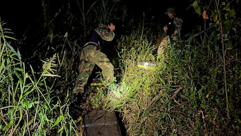 Noche en el monte misionero:
