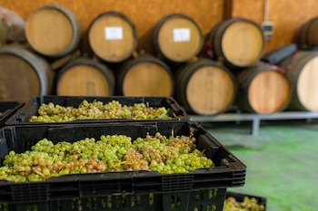 Imagen TR5EYTS3GNGCDMM55QALSGAFNE