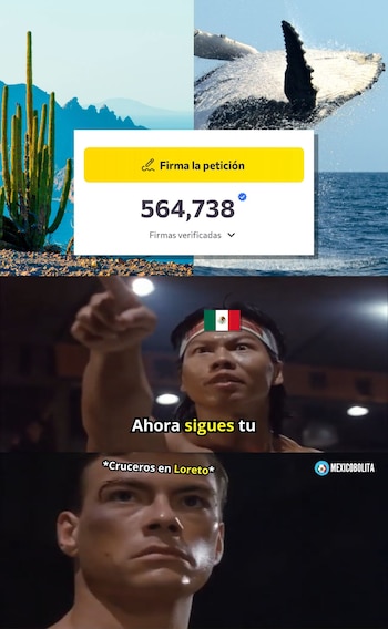 (Captura de pantalla)