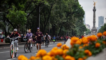 México Invita: cómo funciona la app turística y dónde descargarla para el Mundial 2026